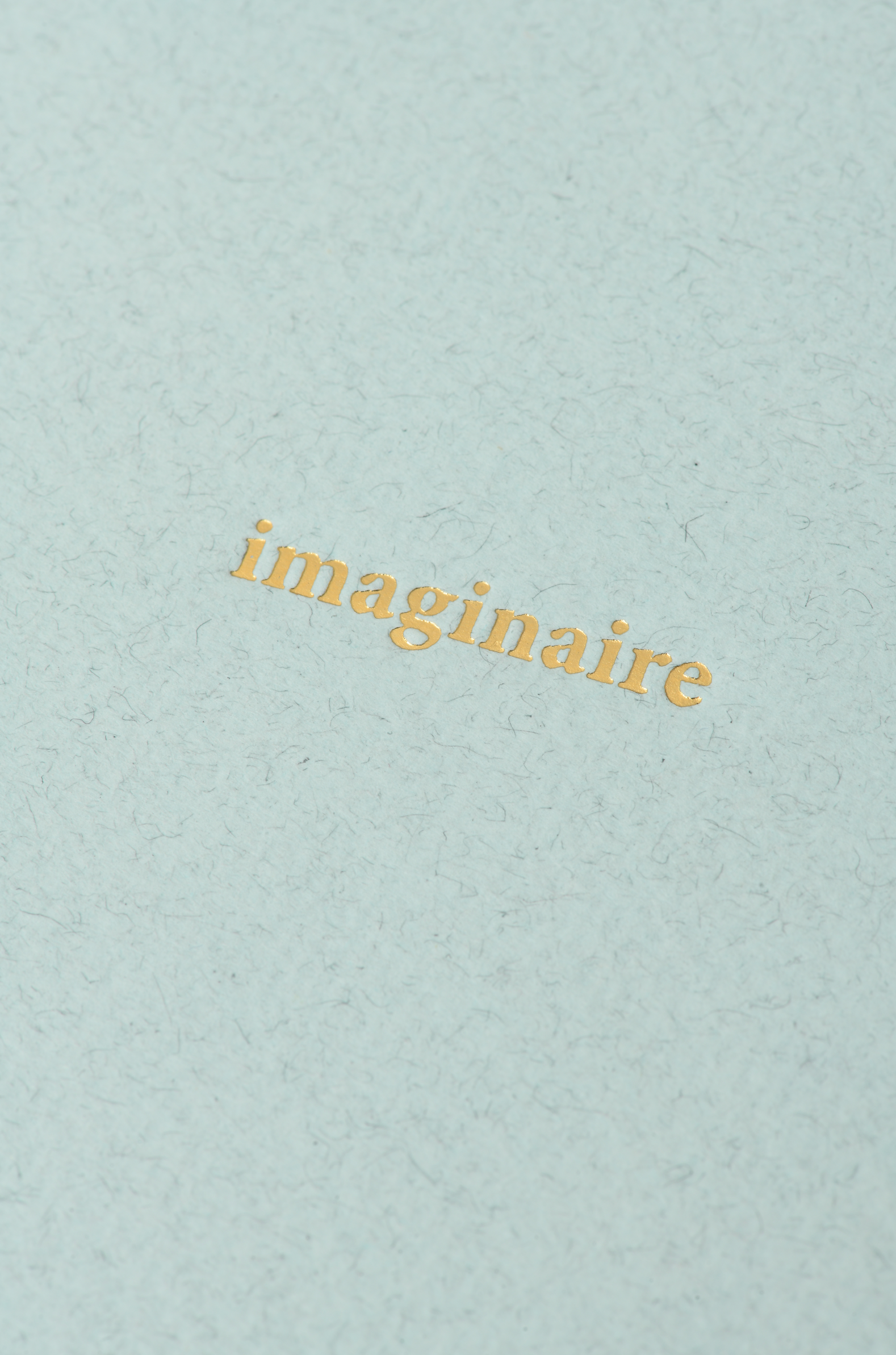 CARNET | Imaginaire