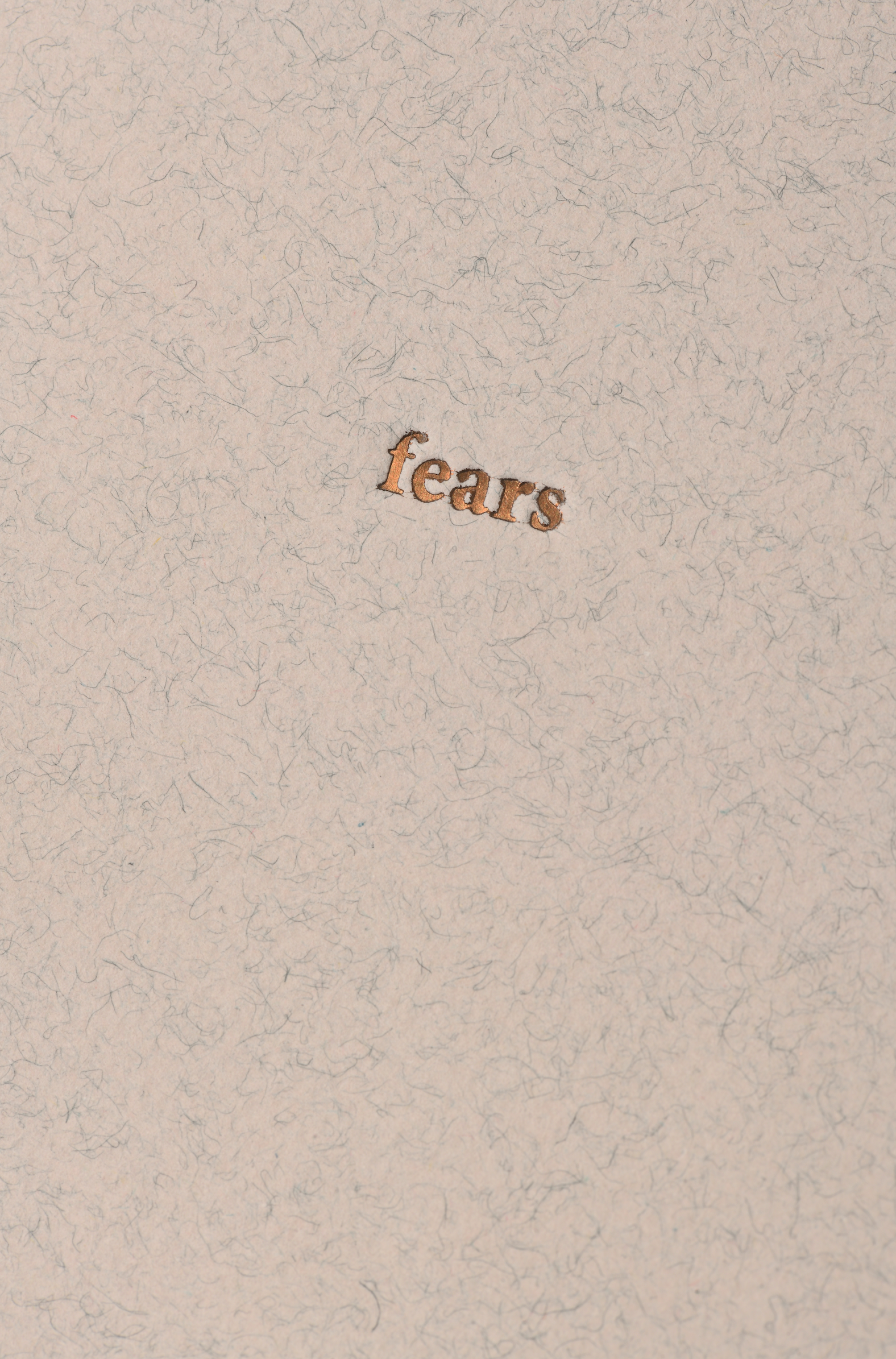 CARNET | fears