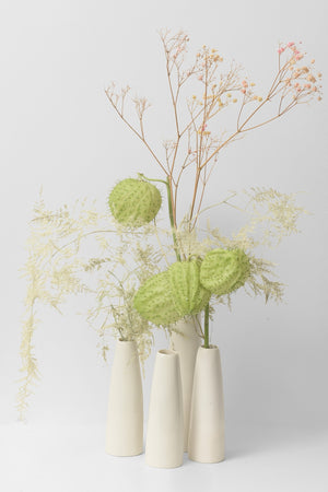VASE| Blanc